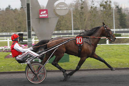 Actualités Hippiques